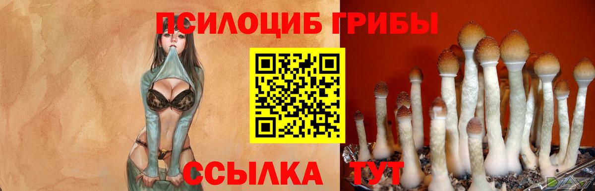 сколько стоит  Вход с VPN  Урай  Галлюциногенные грибы MAGIC MUSHROOMS 